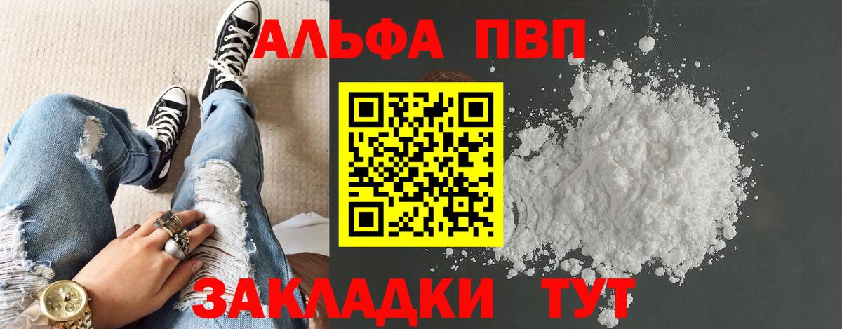 Alfa_PVP СК Великий Новгород