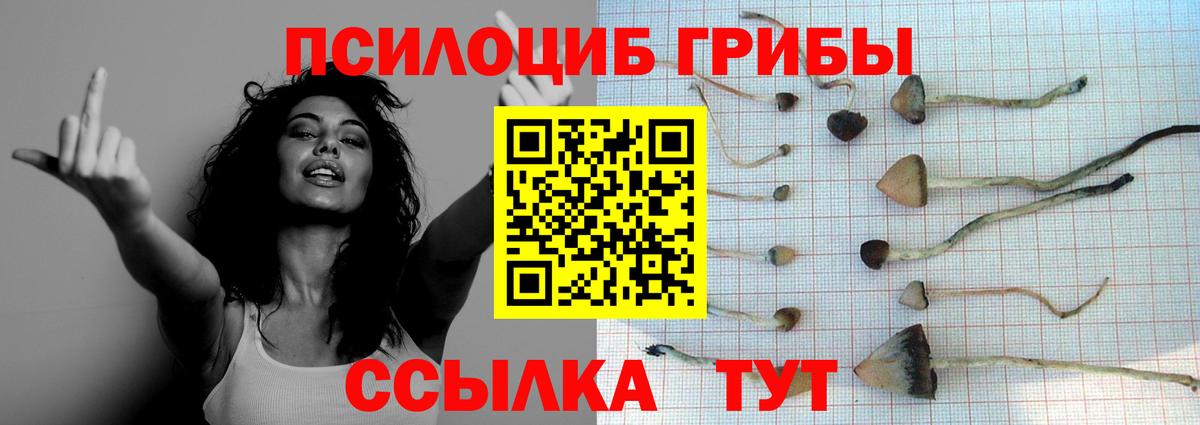Галлюциногенные грибы Magic Shrooms  Псилоцибиновые грибы прущие грибы  Великий Новгород  Вход с VPN 