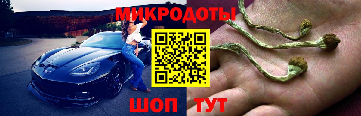 Псилоцибиновые грибы мицелий Великий Новгород
